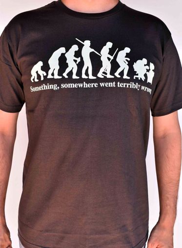 Imagen de Camiseta evolution